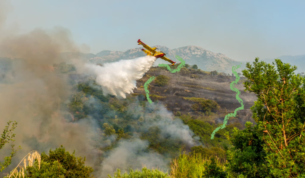 incendios forestales como prevenirlos